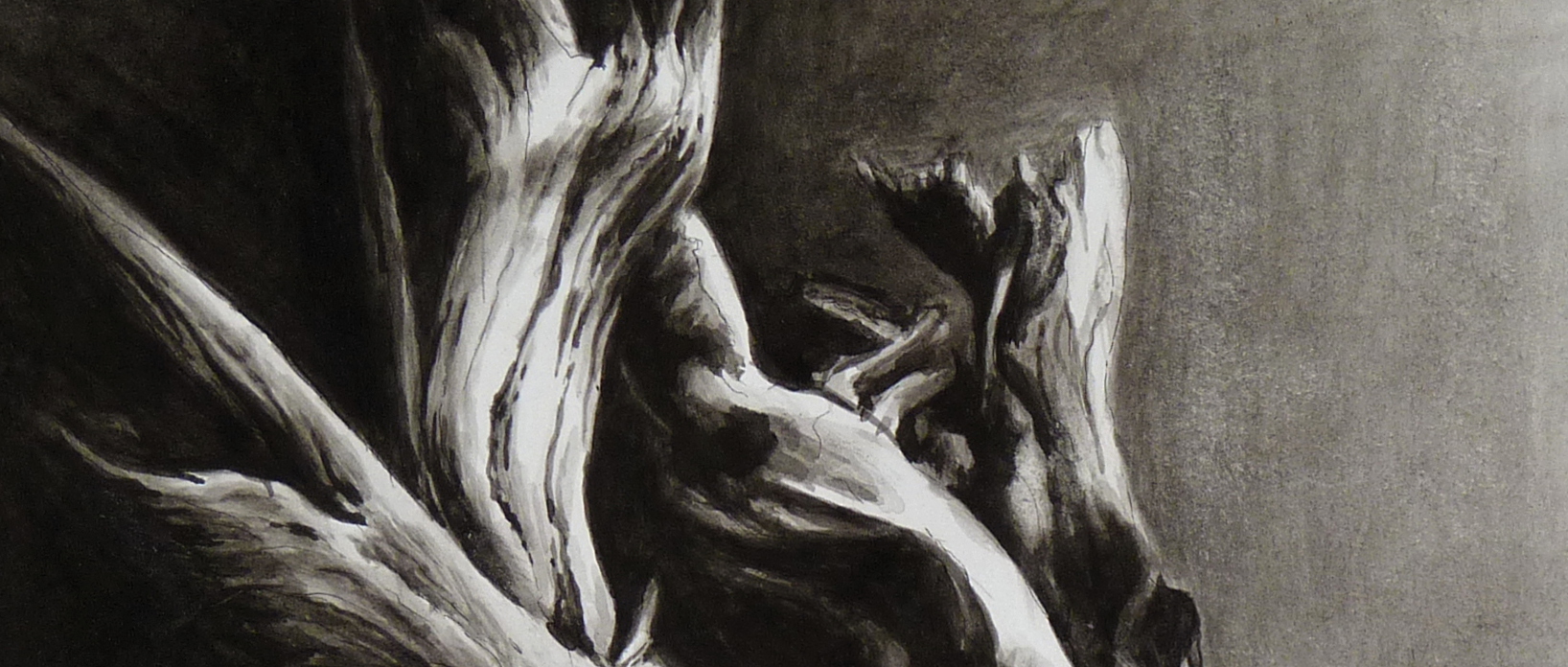 root, Eleni Dervisoglou, watercolor